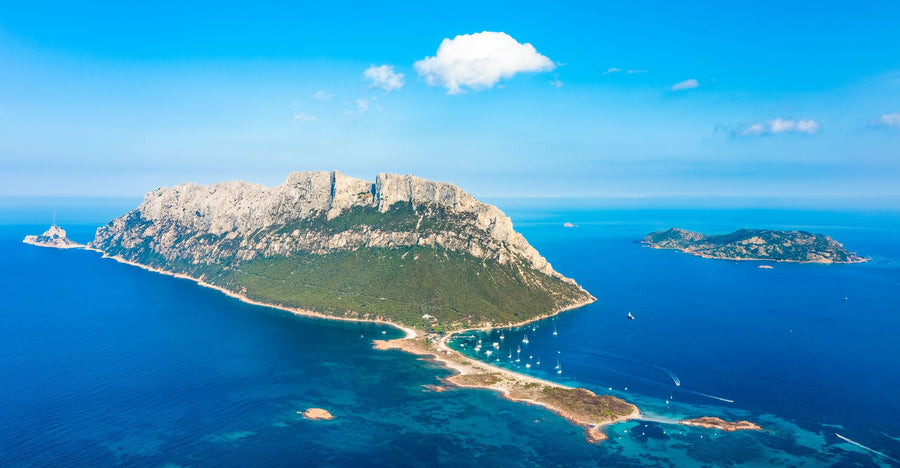 escursioni-tavolara amo sardegna