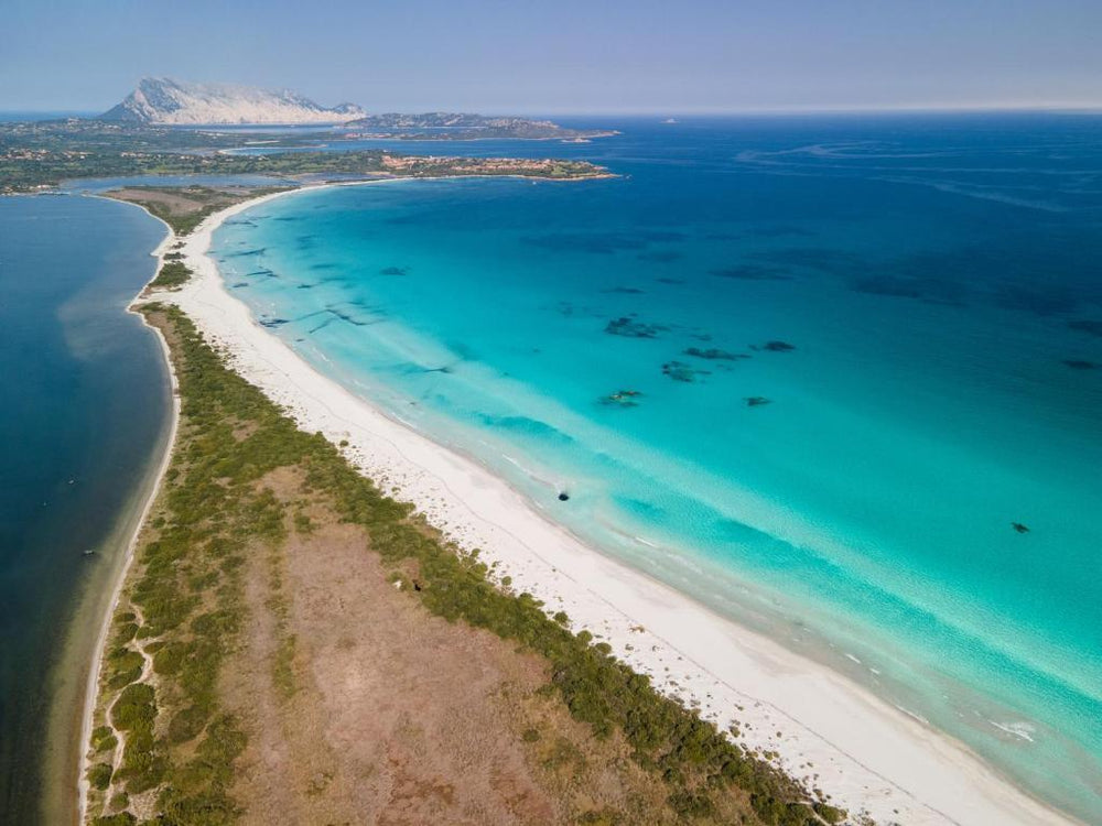 Spiaggia La Cinta a San Teodoro in Sardegna con lunga costa sabbiosa
