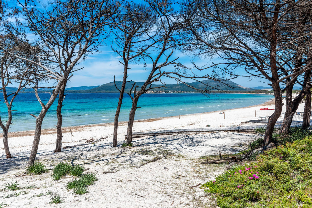 Spiaggia Maria Pia ad Alghero in Sardegna con dune di sabbia e mare limpido